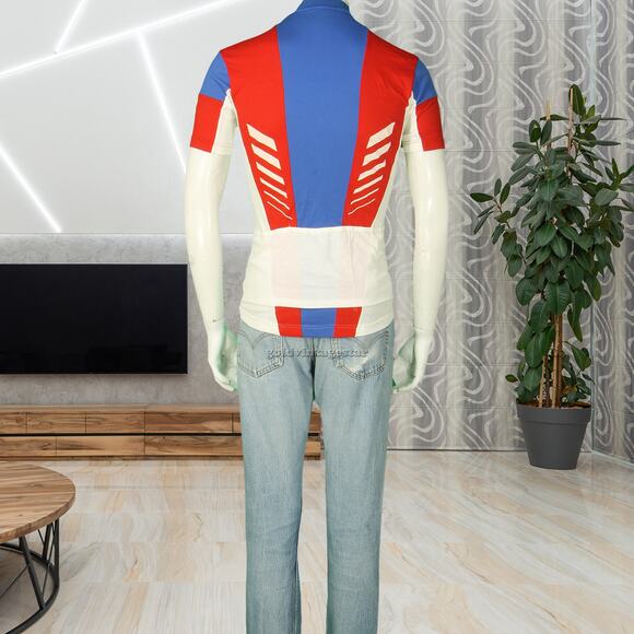 Vintage Descente Japan Stripe Cycling Jersey - Picture 4 of 10